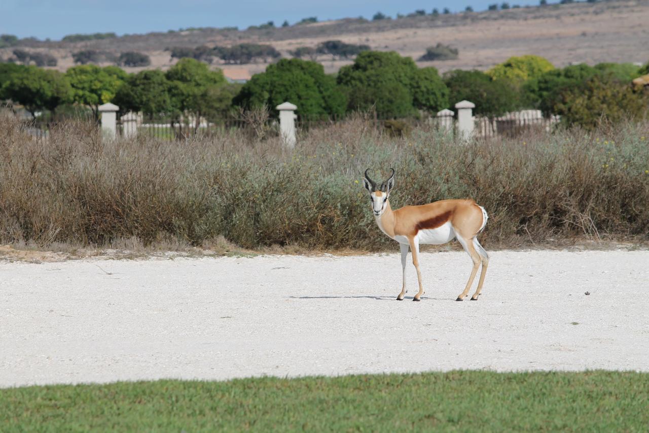 Langebaan Country Estate Apartment Bagian luar foto
